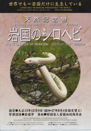 Brochure from the white snake museum